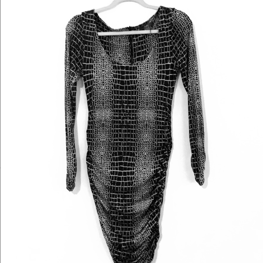 Tart Dress | Rushed Long Sleeve | Zipper Up Back